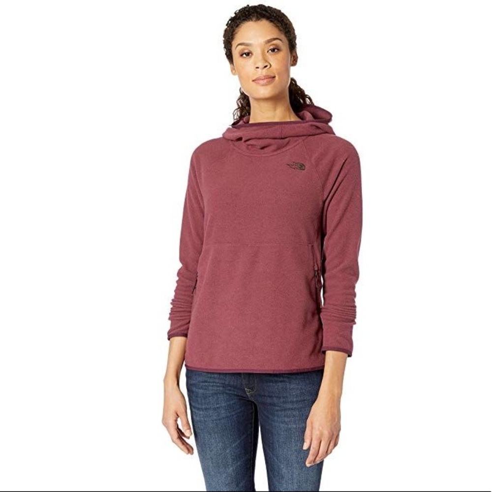 The North Face Glacier Alpine Hoodie